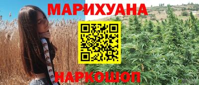 шишки Жуковский