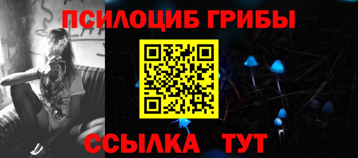 Галлюциногенные грибы прущие грибы  Вход с VPN  Лесосибирск 